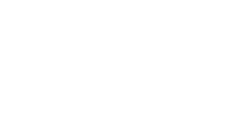 elementor pro